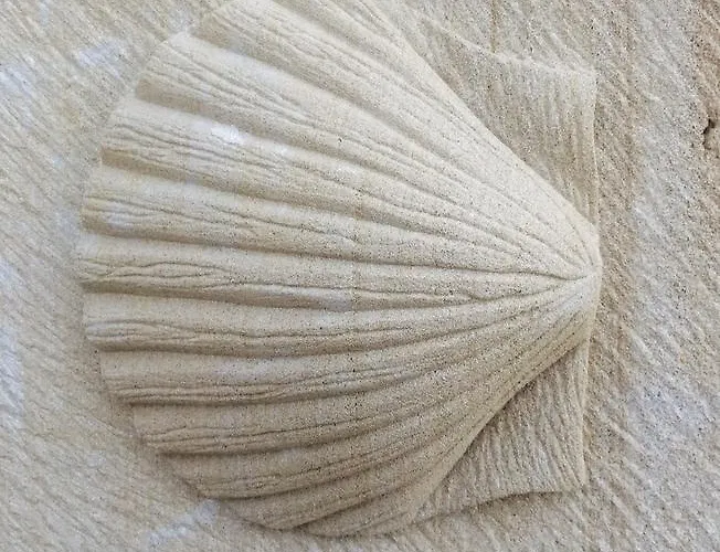 Pensjonat El Chocolatero